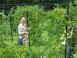 Katy picking grapes