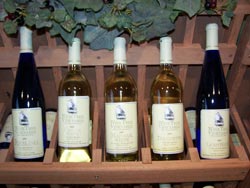 some of our wines